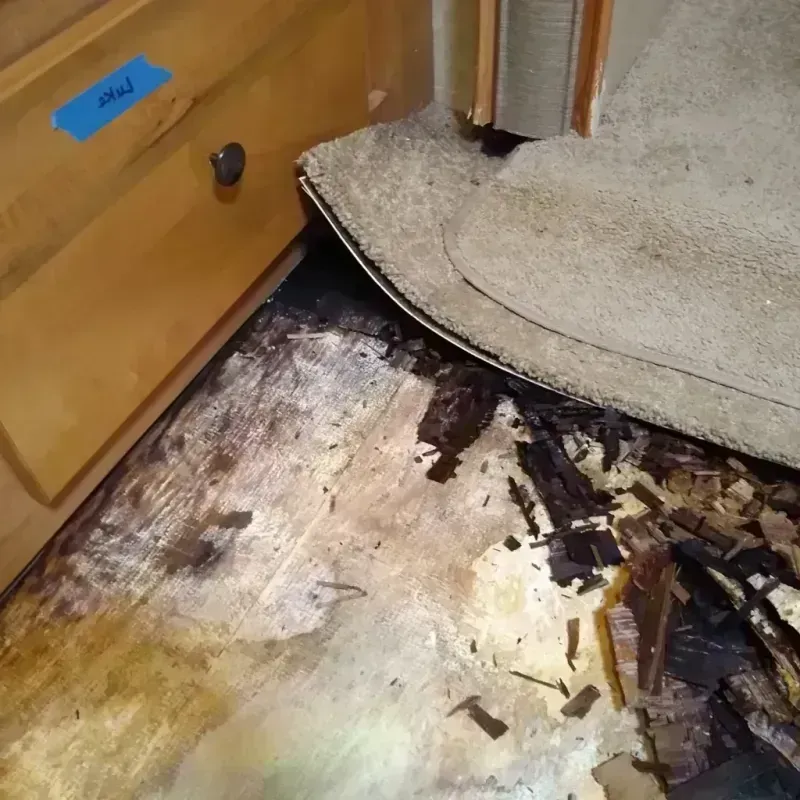 Wood Floor Water Damage in Castlewood, CO